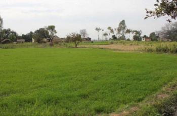 Agriculture Land In Piparia Village Near Etmadpur, Agra